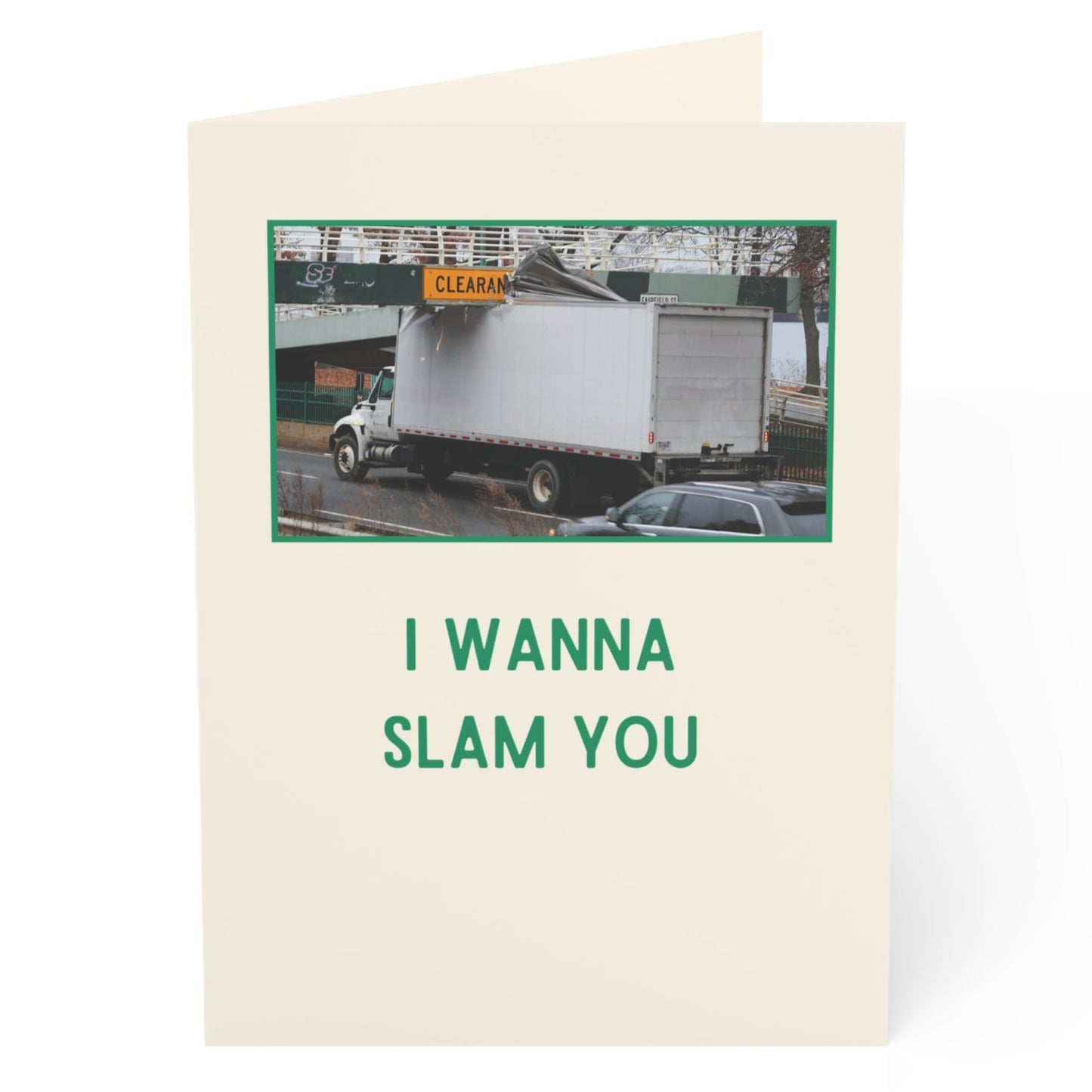 I Wanna Slam You Valentine's Day Card