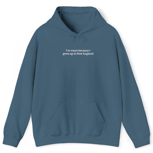 I’m Mean Because I Grew Up In New England Indigo Blue Hoodie