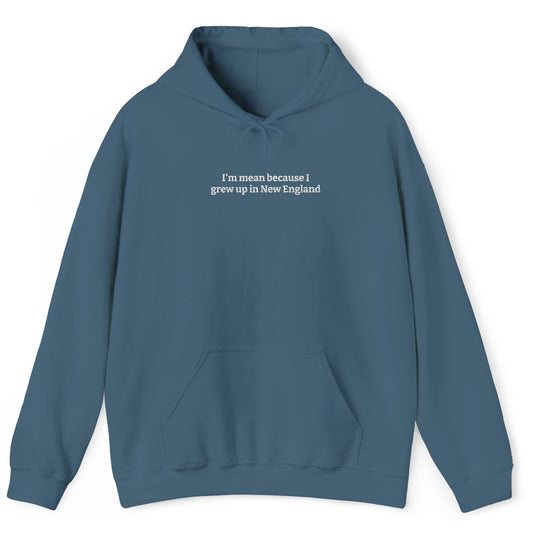 I’m Mean Because I Grew Up In New England – Embroidered Indigo Blue Hoodie