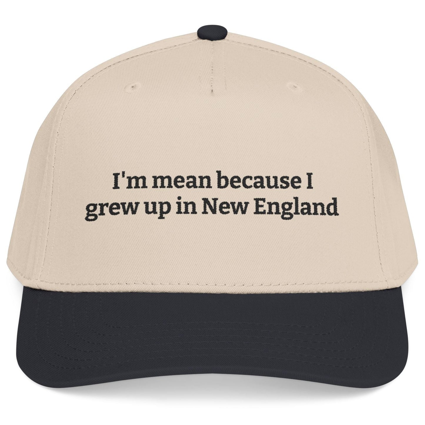 I’m Mean Because I Grew Up In New England Natural/Black Snapback Hat