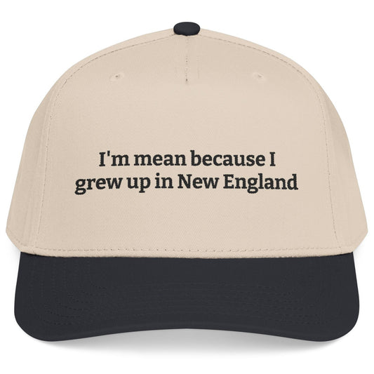 I’m Mean Because I Grew Up In New England Natural/Black Snapback Hat