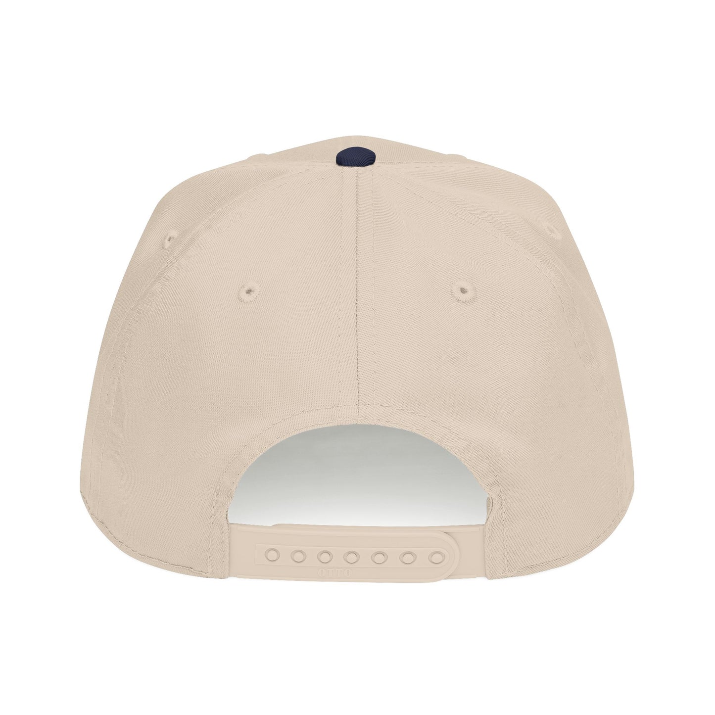Dirty Water Natural/Navy Snapback Hat