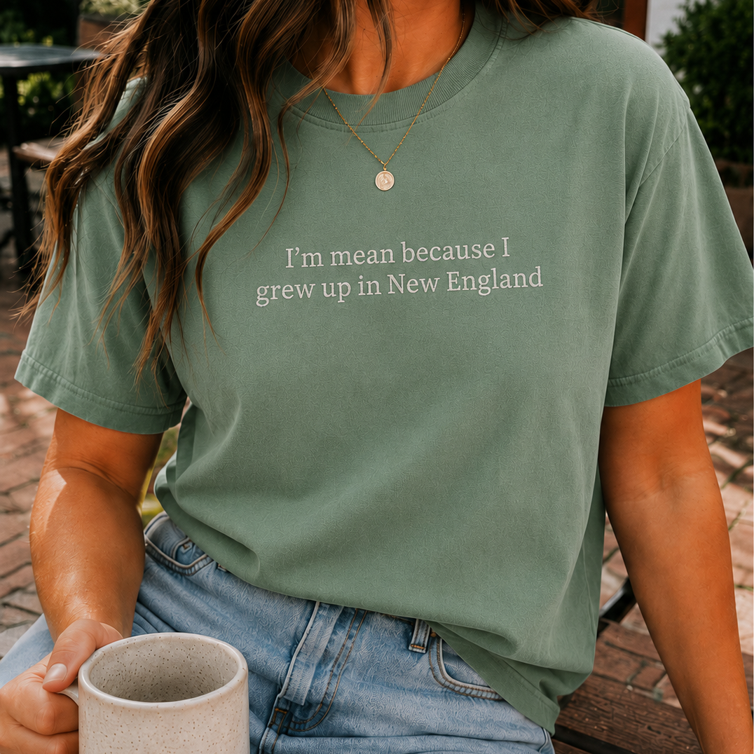 I’m Mean Because I Grew Up In New England Light Green Embroidered T-Shirt