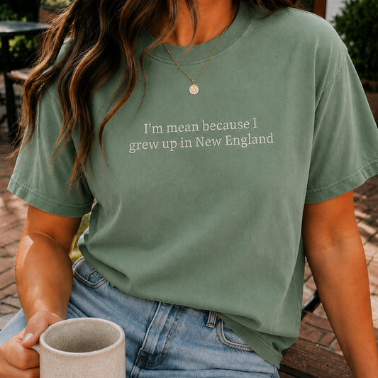 I’m Mean Because I Grew Up In New England Light Green Embroidered T-Shirt